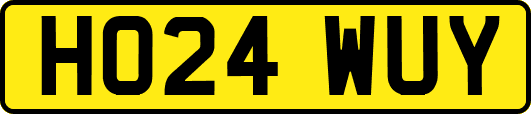 HO24WUY