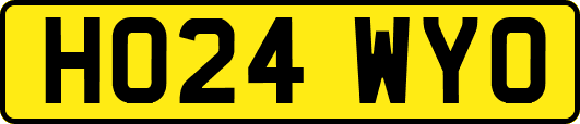HO24WYO