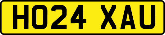 HO24XAU