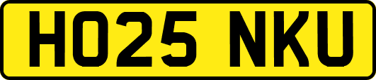 HO25NKU