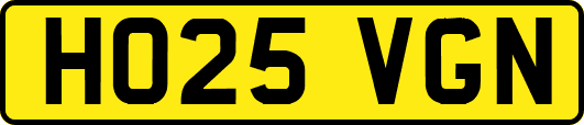 HO25VGN
