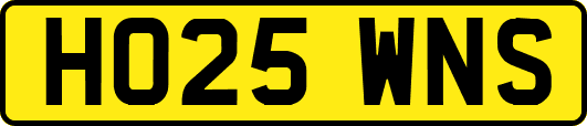 HO25WNS