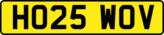 HO25WOV