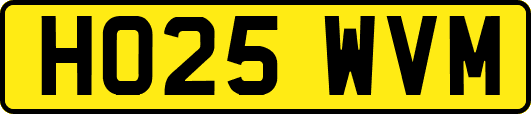HO25WVM