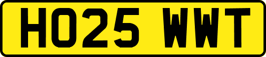 HO25WWT