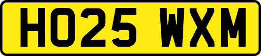 HO25WXM