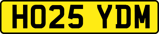 HO25YDM