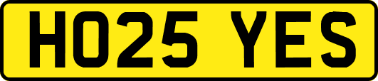 HO25YES