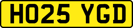 HO25YGD