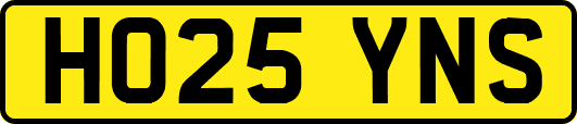 HO25YNS