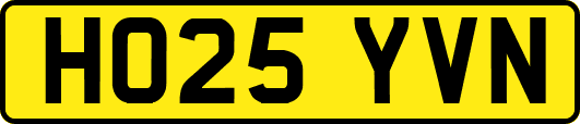 HO25YVN