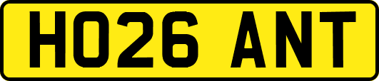 HO26ANT