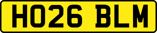 HO26BLM