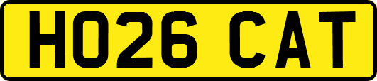 HO26CAT
