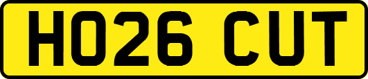HO26CUT