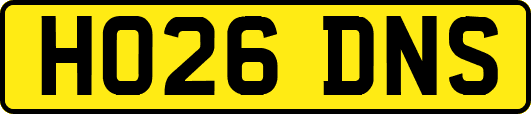 HO26DNS