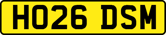 HO26DSM