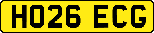 HO26ECG