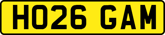 HO26GAM