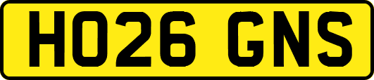 HO26GNS