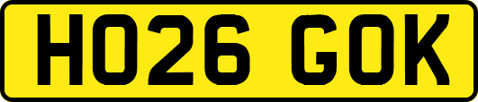 HO26GOK