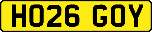HO26GOY