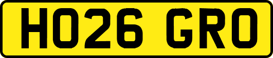 HO26GRO