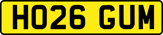 HO26GUM