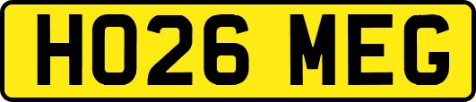 HO26MEG