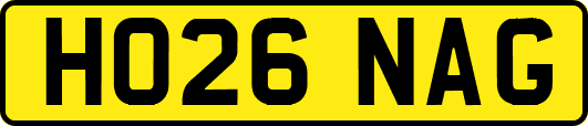 HO26NAG