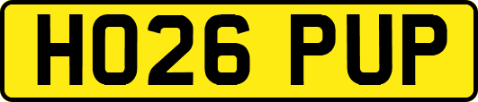 HO26PUP