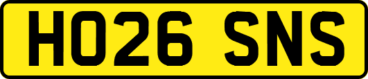 HO26SNS