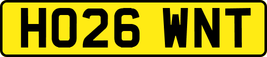 HO26WNT