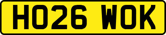 HO26WOK