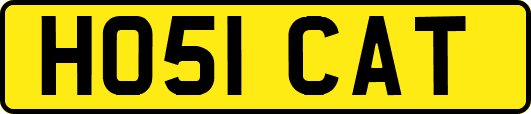 HO51CAT