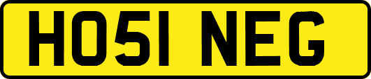 HO51NEG