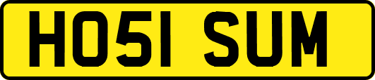 HO51SUM