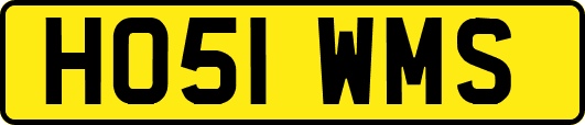 HO51WMS