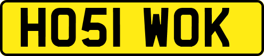 HO51WOK
