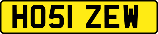 HO51ZEW