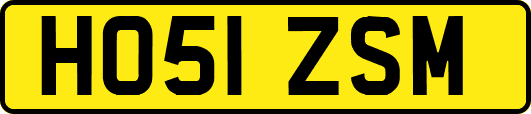 HO51ZSM
