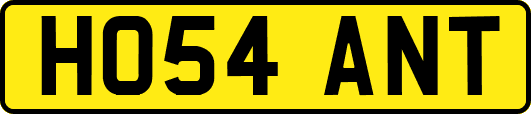 HO54ANT