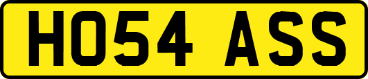 HO54ASS