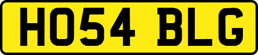HO54BLG