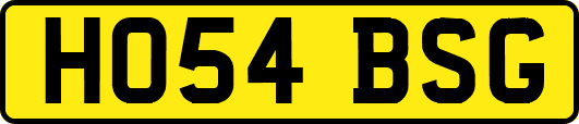 HO54BSG