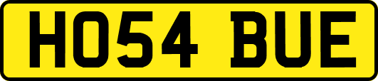 HO54BUE