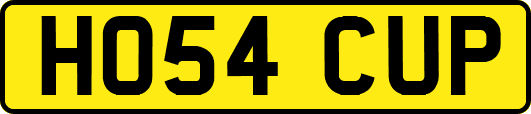 HO54CUP