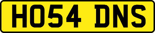 HO54DNS
