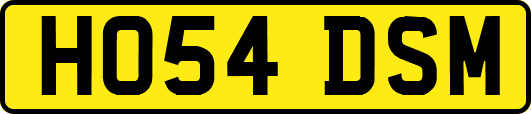 HO54DSM