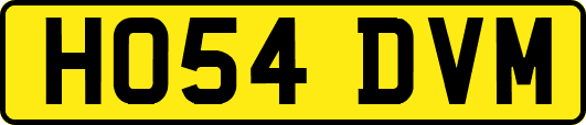 HO54DVM